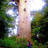 David  Garrett的照片