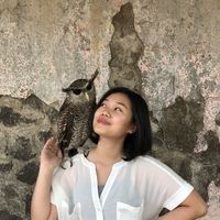 Grace Surya的照片