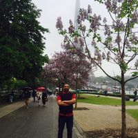 Mutaz Mustafa的照片