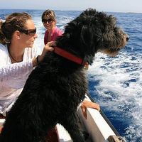 Maria Avloniti's Photo