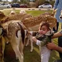 Khaled Ezz Eldean's Photo