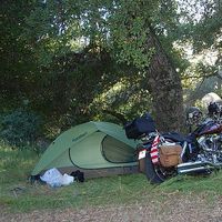 Zdjęcia użytkownika Quinn Cao