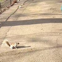 Guillaume Rouquier's Photo