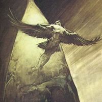 Mohamed Hassan's Photo