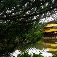 ila Yali Gtz的照片