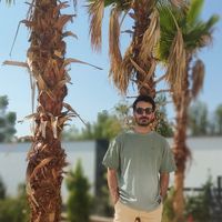 hadi ghafarian的照片