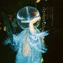 New Year’s Eve | House Music 's picture