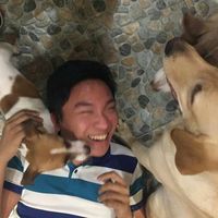 Zdjęcia użytkownika Joseph Ian Balucan