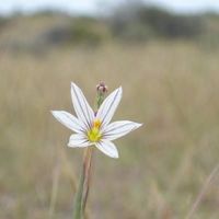 Yanina Funes's Photo