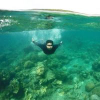 ahmad  fauzan的照片