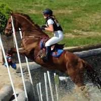 Nikole Le Gouil的照片