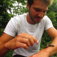 Thomas Schwarz的照片