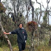 Daniel Guarin的照片