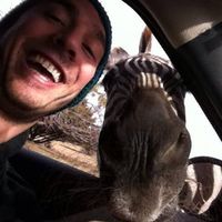 Fotos de Timm Peterson