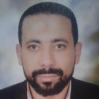 Mohamed Mansour的照片