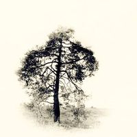 Igor Karenin's Photo