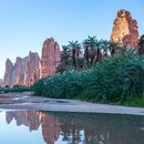 12 Day Road Trip Saudi Arabia!'s picture