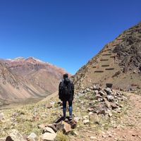 Alejandro Rodriguez的照片