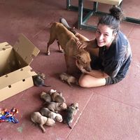 Katherine McLure的照片