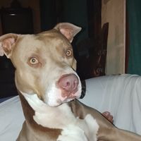 Alex Hermit的照片