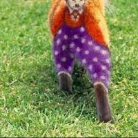 cindy cherry's Photo