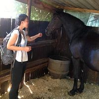 Vivian Huang's Photo