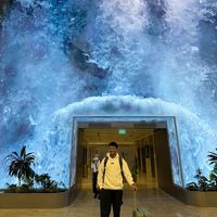 Carson Rodrigues's Photo