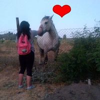 Andrea Hernández Menares's Photo