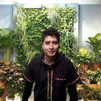 David Cervantes Romero's Photo