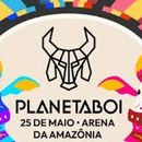 Planeta Boi: a Night of Parintins in Manaus's picture