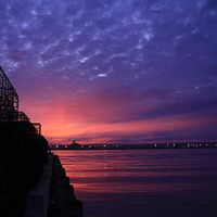 Barbara Barton's Photo