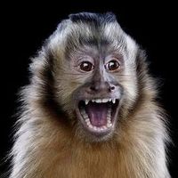 György Várnai的照片