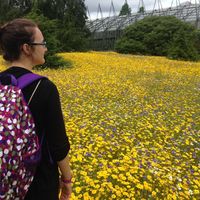 Фотографии пользователя Rachel  Bicha