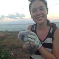 Kamille Krause's Photo