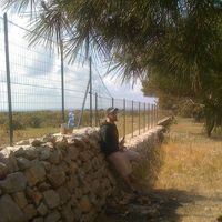 Luca D'alessio's Photo