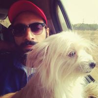 Emad Morkos的照片