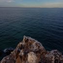 Caminata Tecolandra's picture