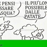 Fotos de Antonio Rossi