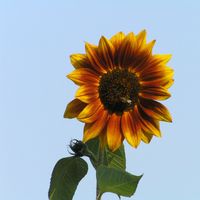 Photos de Simon Ferroni