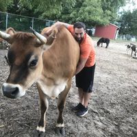 Zdjęcia użytkownika Nathan  Davi