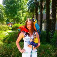 Maria Popova的照片