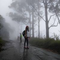 Elienai Barbosa的照片