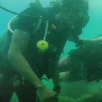 Scott McKenzie的照片