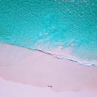 Holiday  he的照片