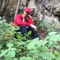 Malihe Jami的照片