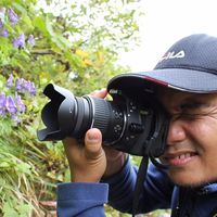 Muhammad Idris的照片