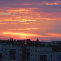 Catarina Simões的照片