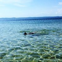 Minh Khue Truly的照片