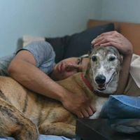 Joseph Michaels's Photo