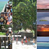 Alice Grossi's Photo